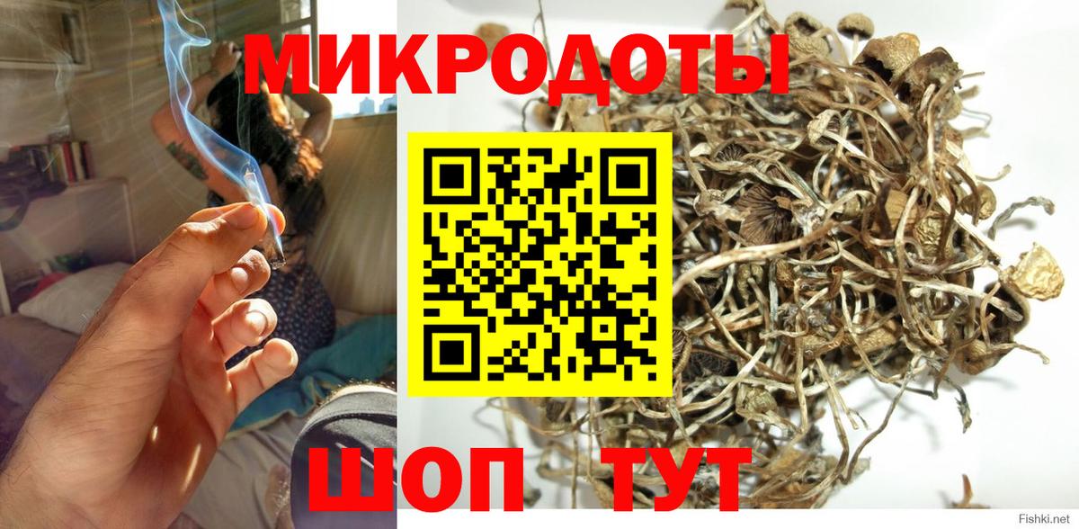 Галлюциногенные грибы Cubensis Избербаш