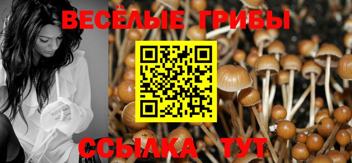 Галлюциногенные грибы Psilocybe  дарнет шоп  Избербаш  Вход с VPN 